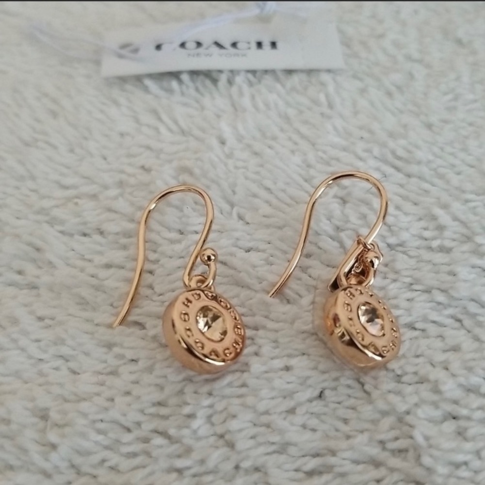 ISO Silver Drop Earrings
